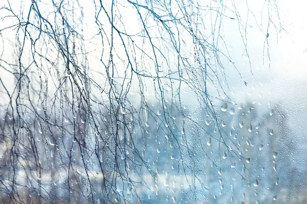 雨滴落在玻璃上 透过窗户眺望秋天的森林 — 图库照片