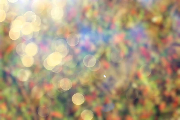 Розмитий Фон Листя Ландшафт Парку Боке Вид Осінь Жовтні — стокове фото