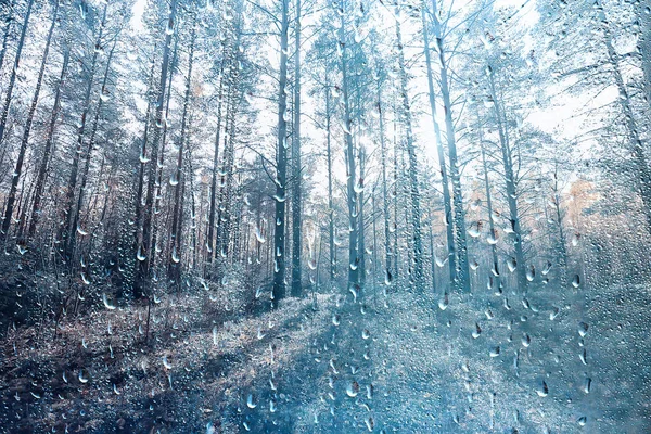 Gotas Lluvia Sobre Vidrio Vista Través Ventana Paisaje Bosque Otoño — Foto de Stock