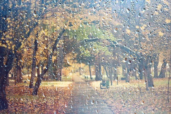 ガラスの雨滴窓からの景色秋の森公園 — ストック写真