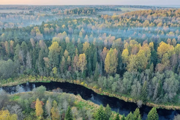 Krajina Pohled Shora Řeka Podzim Les Drone Krásná Cesta — Stock fotografie