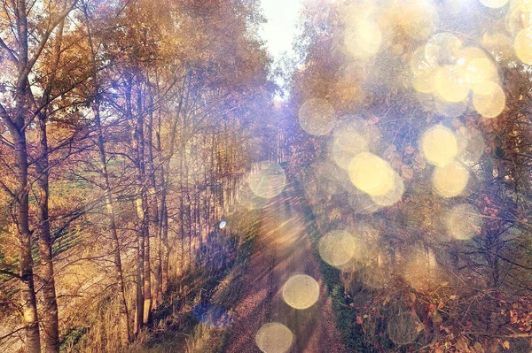 秋の道路上の景色ドローンで秋の風景 — ストック写真