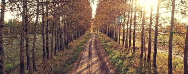 Осенний Вид Дорогу Осенний Пейзаж Беспилотником — стоковое фото