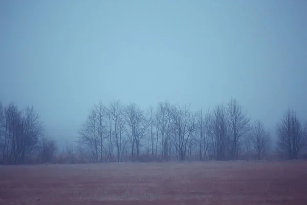 Dramatic Autumn Landscape Field Sky Abstract Concept Sadness — Stock Photo, Image