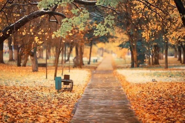 Otoño Estación Paisaje Parque Vista Los Árboles Amarillos Callejón Fondo — Foto de Stock