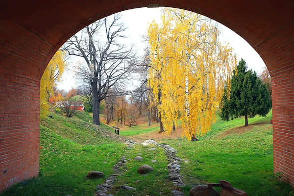 Пейзаж Осеннего Сезона Парке Вид Переулок Желтых Деревьев — стоковое фото