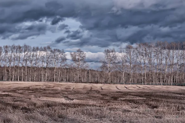 Dramatic Autumn Landscape Field Sky Abstract Concept Sadness — Stock Photo, Image