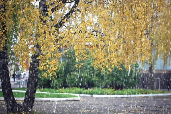 Κακός Άνεμος Βροχής Καιρού Φθινοπωρινή Έννοια Φόντο — Φωτογραφία Αρχείου