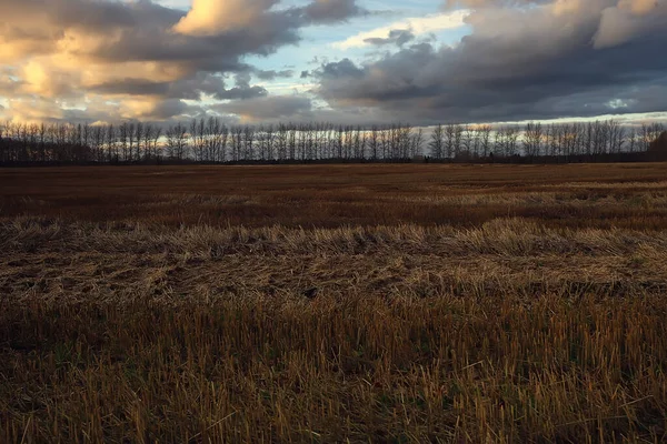 Dramático Otoño Paisaje Campo Cielo Abstracto Concepto Tristeza — Foto de Stock