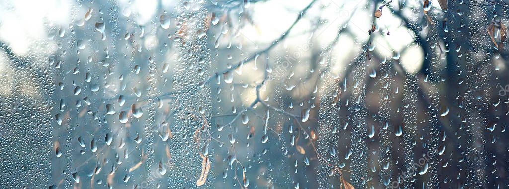 raindrops on glass, view through the window landscape autumn forest, park