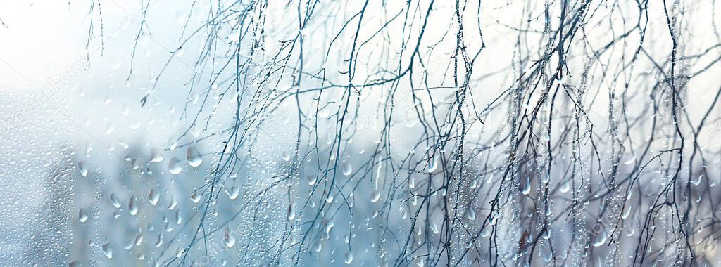 raindrops on glass, view through the window landscape autumn forest, park