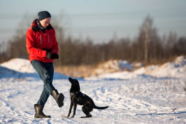 Çimenlikte adam eğitim köpeği. Kış. Güneşli bir gün
