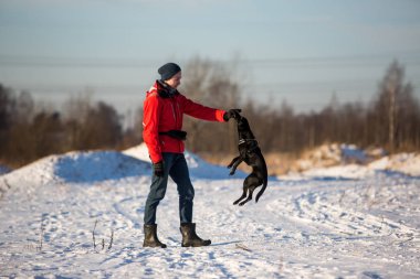 Çimenlikte adam eğitim köpeği. Kış. Güneşli bir gün