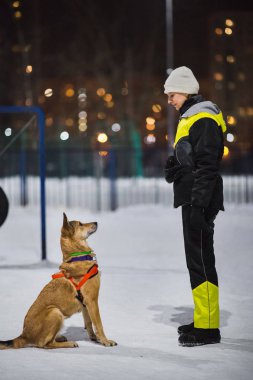 Bir köpek bir oyun alanı ile genç kadınların Portrat