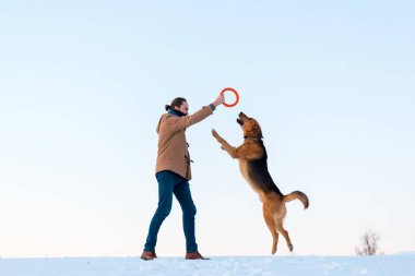 Adam kış manzara büyük karışık cins köpek ile oynuyor.