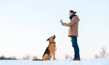 Adam kış manzara büyük karışık cins köpek ile oynuyor.