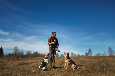 Güneşli bir çayırda yürüyen iki köpekli bir adam.