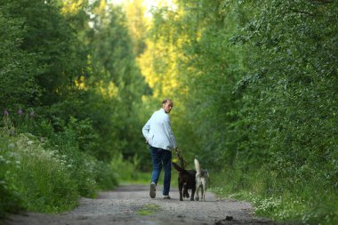 Güneşli bir çayırda yürüyen iki köpekli bir adam.