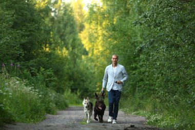 Güneşli bir çayırda yürüyen iki köpekli bir adam.