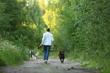 Güneşli bir çayırda yürüyen iki köpekli bir adam.