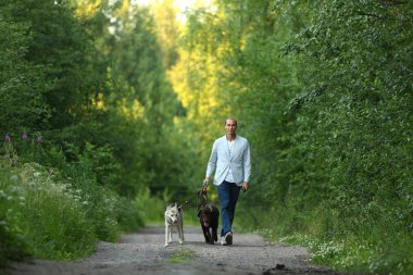 Güneşli bir çayırda yürüyen iki köpekli bir adam.