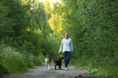 Güneşli bir çayırda yürüyen iki köpekli bir adam.