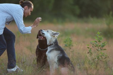 Güneşli bir çayırda yürüyen iki köpekli bir adam.
