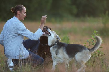 Güneşli bir çayırda yürüyen iki köpekli bir adam.