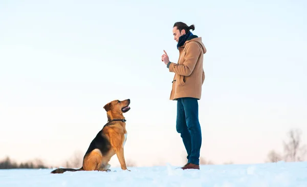 겨울 풍경에서 큰 혼합 품종 개와 놀고있는 남자. — 스톡 사진