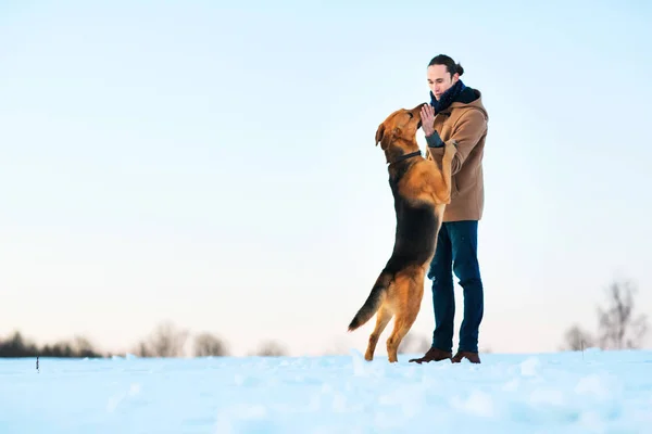 Homme jouant avec grand chien de race mixte dans le paysage hivernal . — Photo