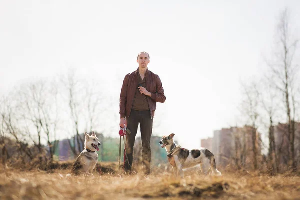 Портрет владельца с двумя собаками на поле — стоковое фото