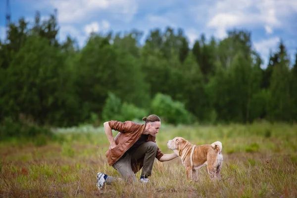 Porträt eines Shar-Pei-Rassehundes und eines Mannes beim Spaziergang auf einer Wiese — Stockfoto