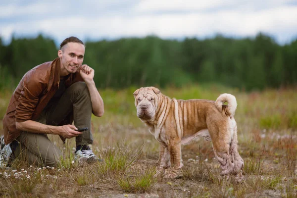 Bir Shar pei cins köpek ve bir çayırda bir yürüyüş bir adam Portresi
