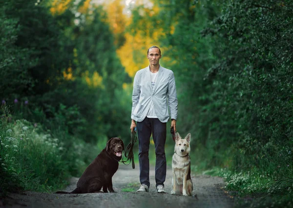 Un hombre con dos perros paseando en un prado soleado — Foto de Stock