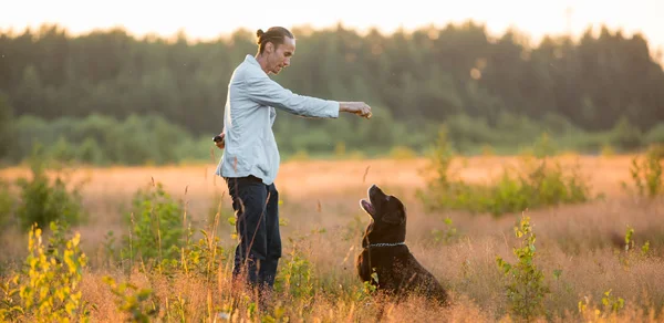 햇볕이 잘 드는 초원을 걷고 있는 두 마리의 강아지를 가진 남자 — 스톡 사진