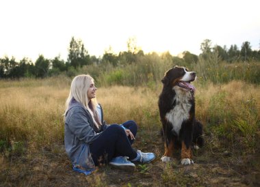 Bernese Dağ Köpeği ile yaz tarlasında yürüyen genç bir kadın.