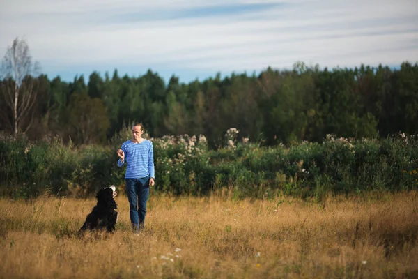 Junger Mann spaziert mit Berner Sennenhund auf der Sommerwiese — Stockfoto