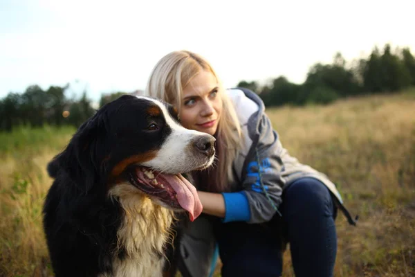 stock image Young woman walking with Bernese Mountain Dog on the summer field