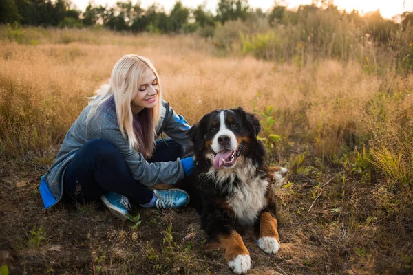 Junge Frau spaziert mit Berner Sennenhund auf der Sommerwiese — Stockfoto