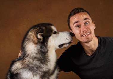 Kahverengi siyah zemin üzerinde stitting bir adam ve alaskan malamute köpek Studo atış