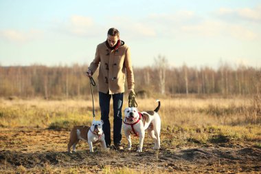 Genç mutlu Avrupa gülümseyen ve gülen iki köpek ile bir alanda yürüyüş