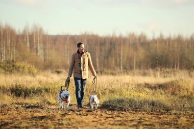 Genç mutlu Avrupa gülümseyen ve gülen iki köpek ile bir alanda yürüyüş