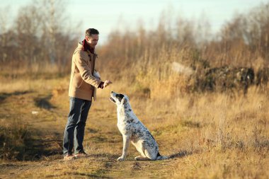 Genç mutlu Avrupa gülümseyen ve büyük bir beyaz köpek ile bir alanda yürüyüş gülüyor