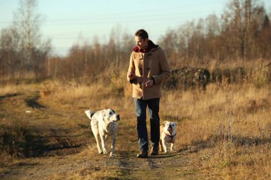Genç mutlu Avrupa gülümseyen ve gülen iki köpek ile bir alanda yürüyüş