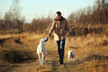 Genç mutlu Avrupa gülümseyen ve gülen iki köpek ile bir alanda yürüyüş