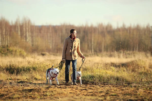 Junge glückliche Europäer lächelnd und lachend auf einem Feld mit zwei Hunden — Stockfoto