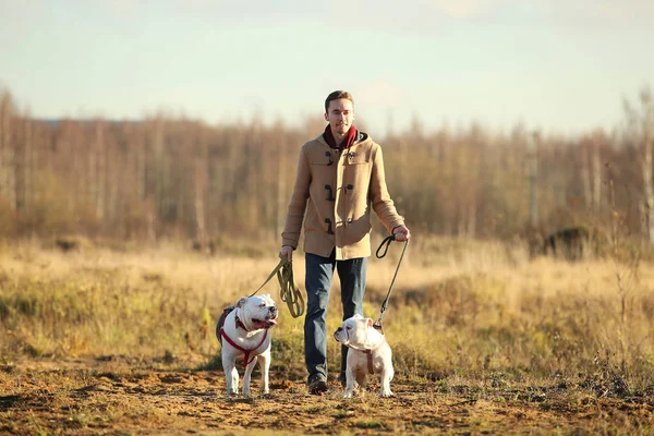 Junge glückliche Europäer lächelnd und lachend auf einem Feld mit zwei Hunden — Stockfoto