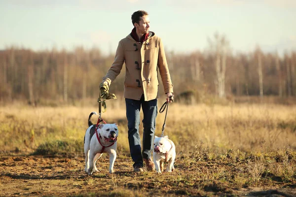 Junge glückliche Europäer lächelnd und lachend auf einem Feld mit zwei Hunden — Stockfoto