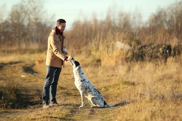 젊은 행복 한 유럽 미소와 큰 흰색 개와 함께 필드에서 산책 웃음 — 스톡 사진