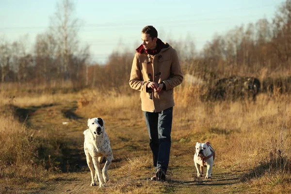 Молодой счастливый европеец улыбается и смеется, гуляя в поле с двумя собаками — стоковое фото